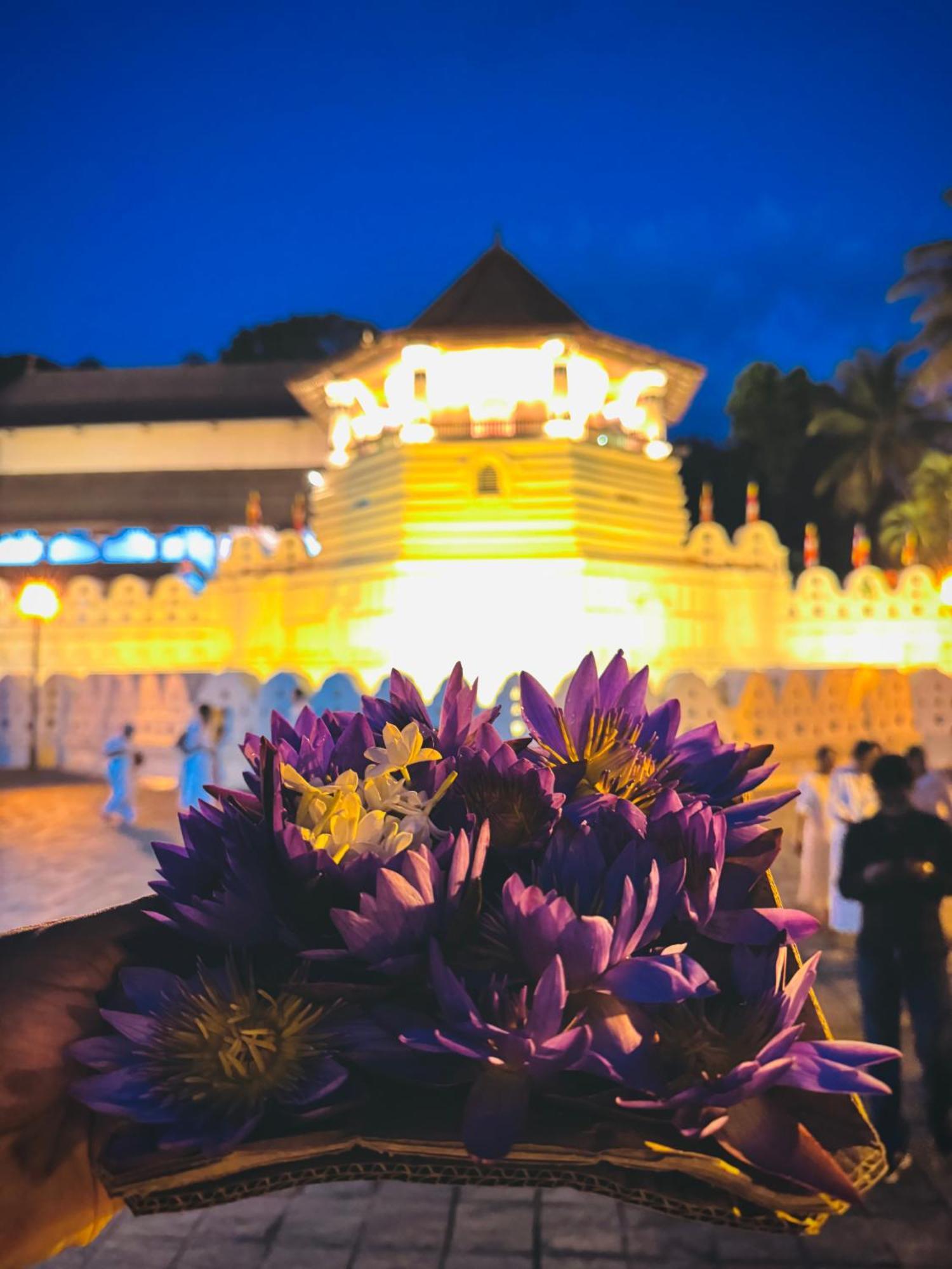 Mahaweli View Bungalow แคนดี้ ภายนอก รูปภาพ